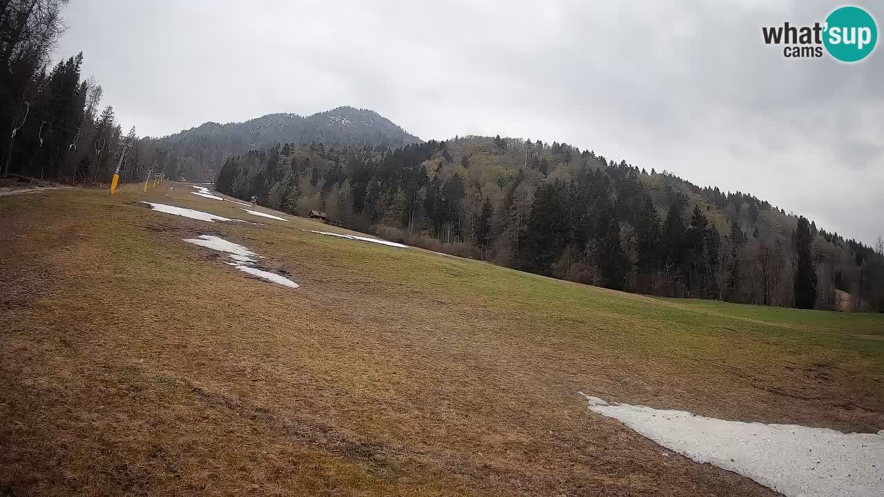 Esquí Kranjska Gora | Brsnina