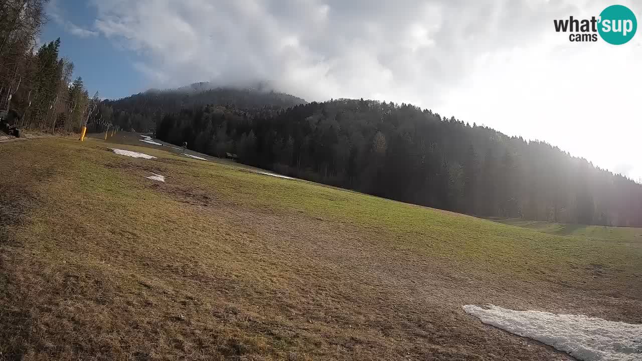 RTC Kranjska Gora | Brsnina