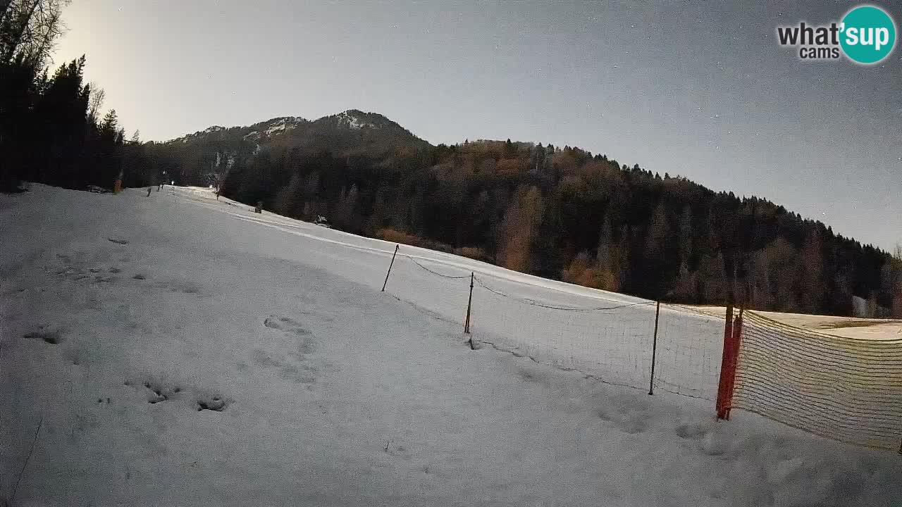 Esquí Kranjska Gora | Brsnina