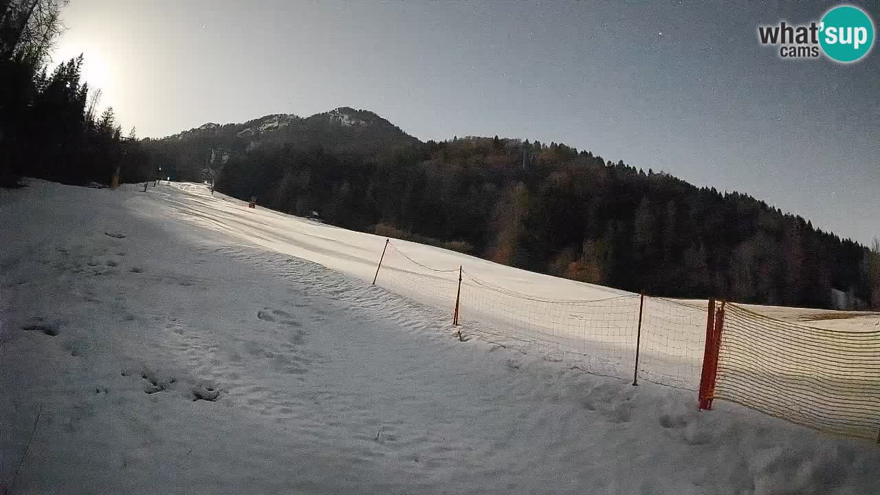 Kranjska Gora Station de ski | Brsnina