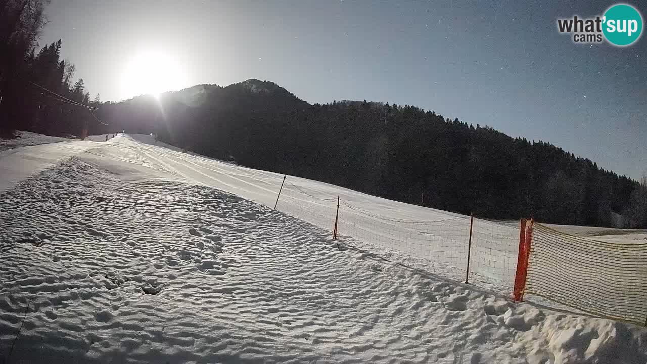 Kranjska Gora Station de ski | Brsnina