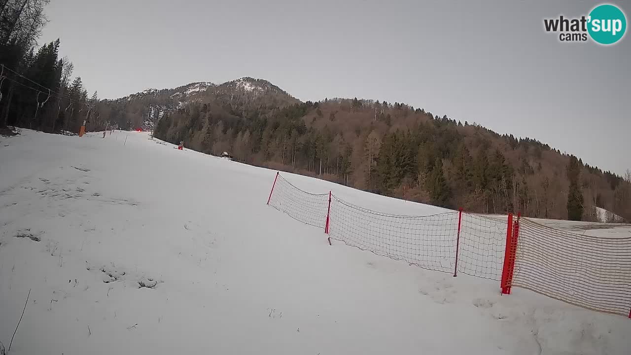 Kranjska Gora Station de ski | Brsnina