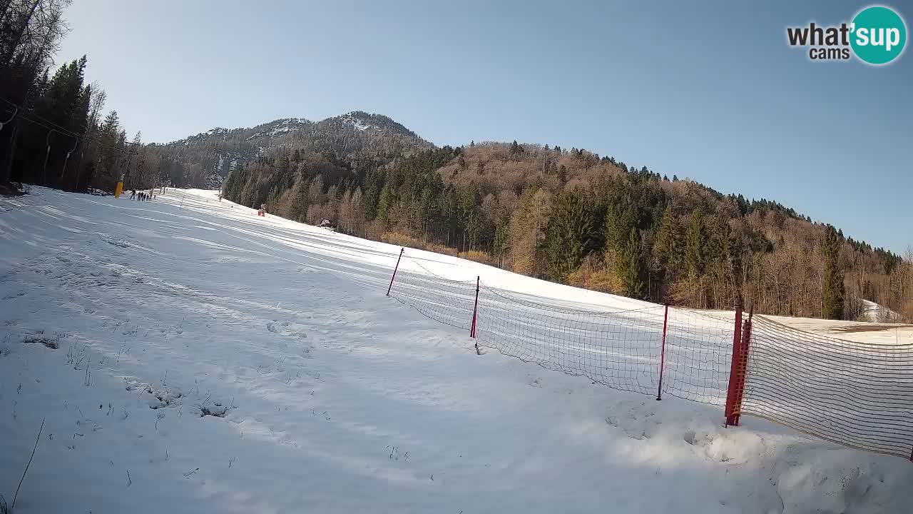 Esquí Kranjska Gora | Brsnina