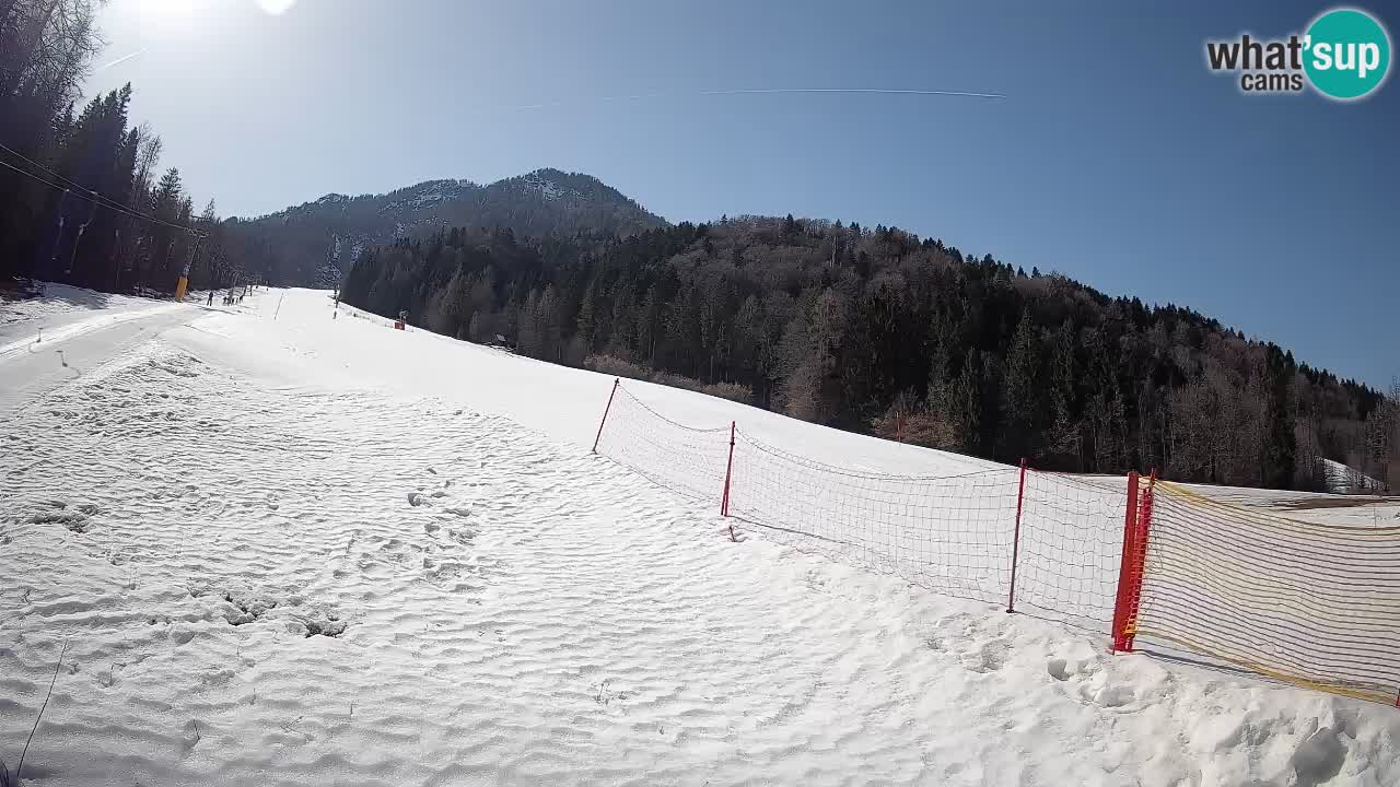Kranjska Gora SKIJANJE | Brsnina