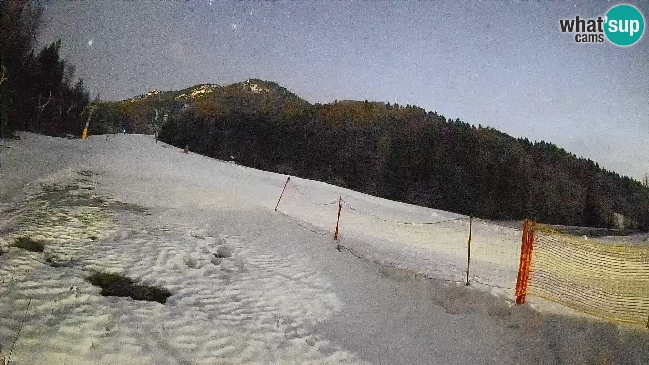 Kranjska Gora SKIJANJE | Brsnina