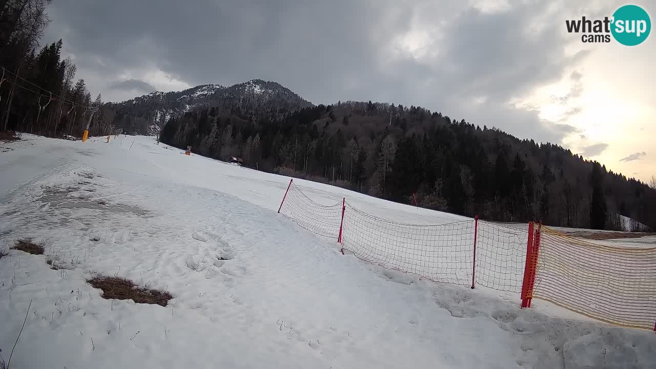 RTC Kranjska Gora | Brsnina