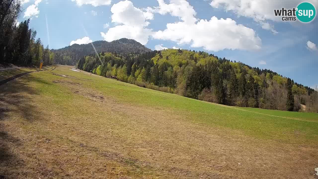 Kranjska Gora SKIJANJE | Brsnina