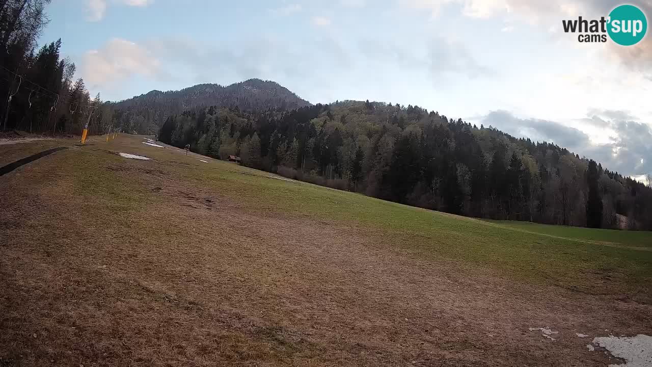 RTC Skigebiet Kranjska Gora | Brsnina