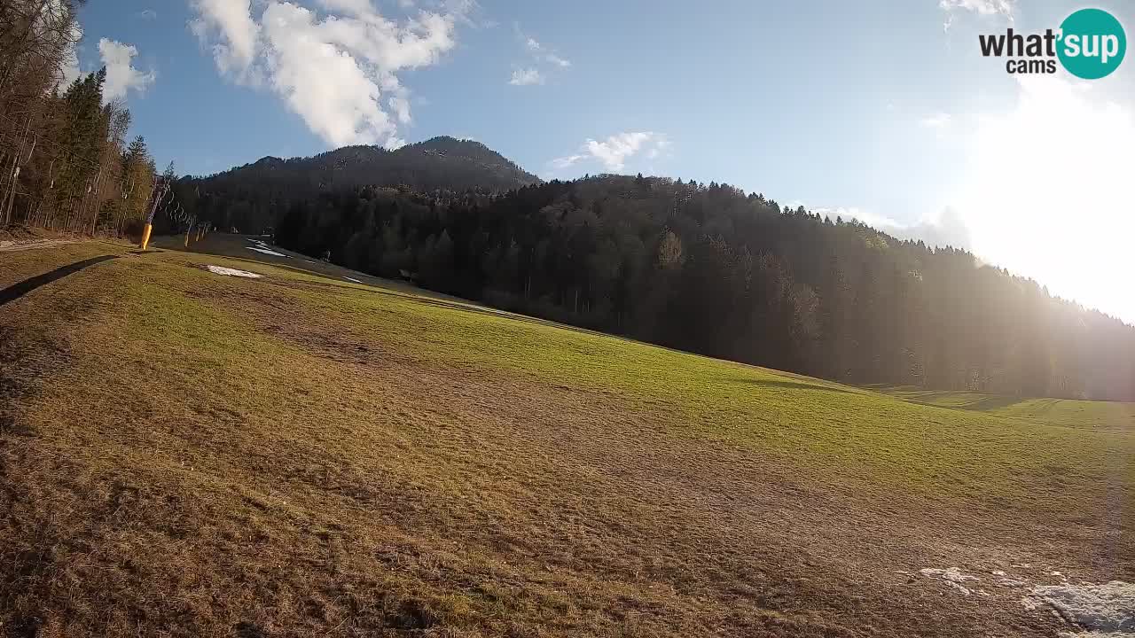 RTC Kranjska Gora | Brsnina