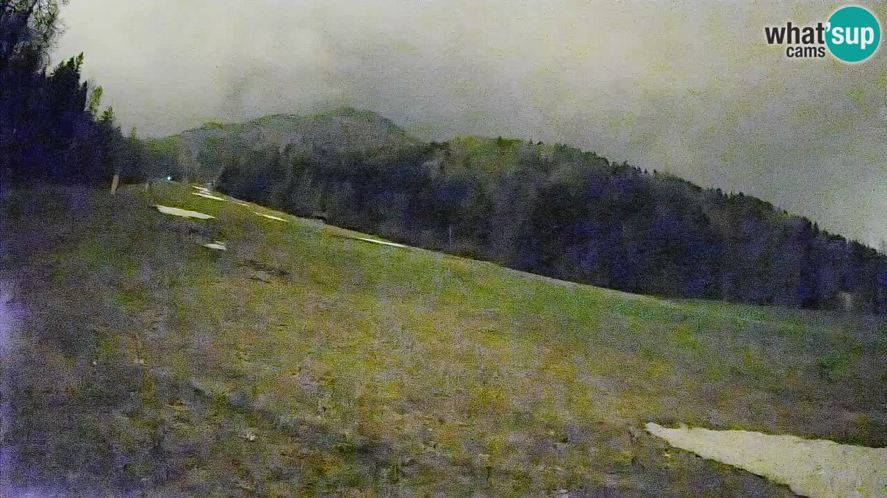 Kranjska Gora Station de ski | Brsnina