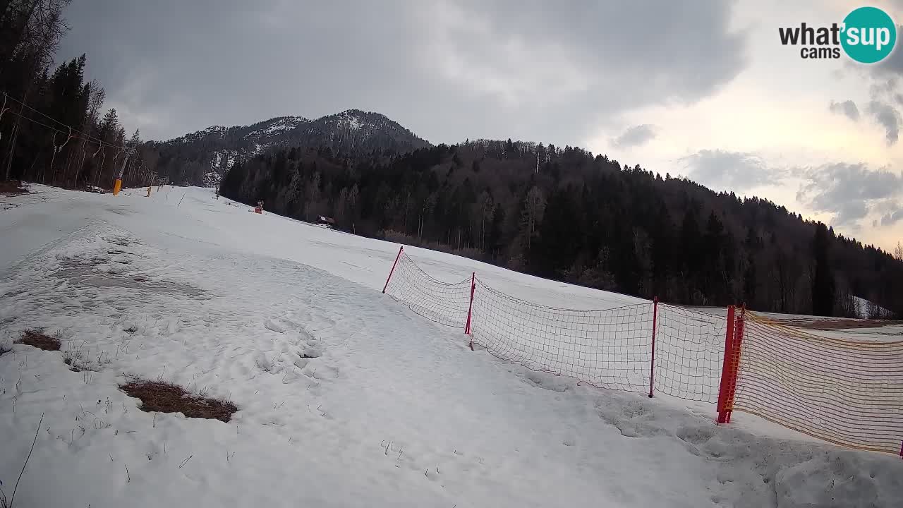 Comprensorio sciistico Kranjska Gora | Brsnina