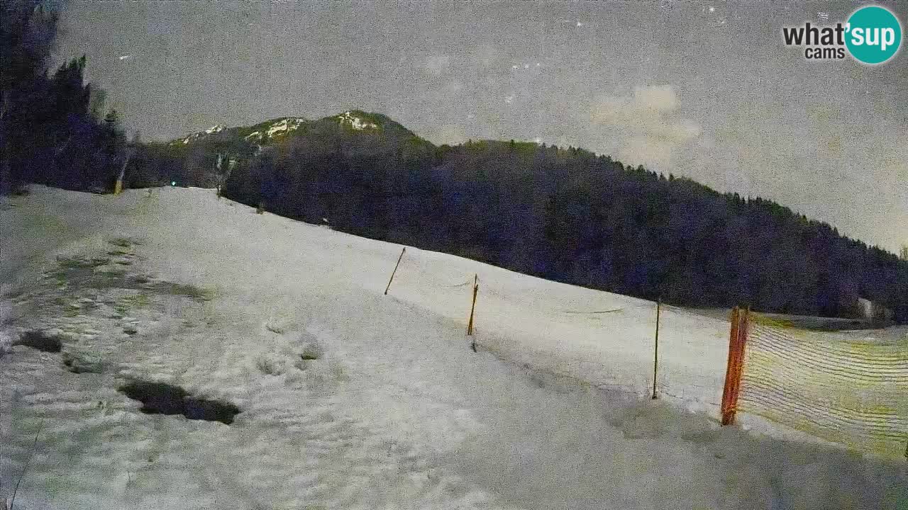 Ski Kranjska Gora | Brsnina