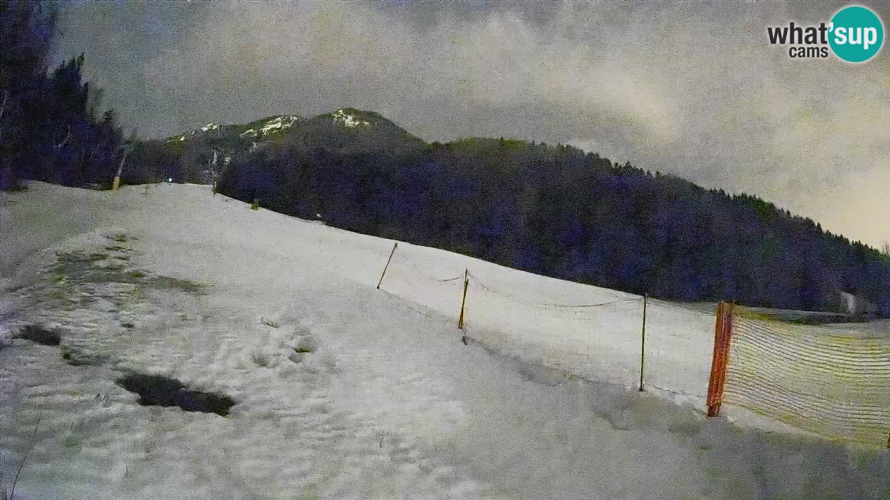 Kranjska Gora SKIJANJE | Brsnina