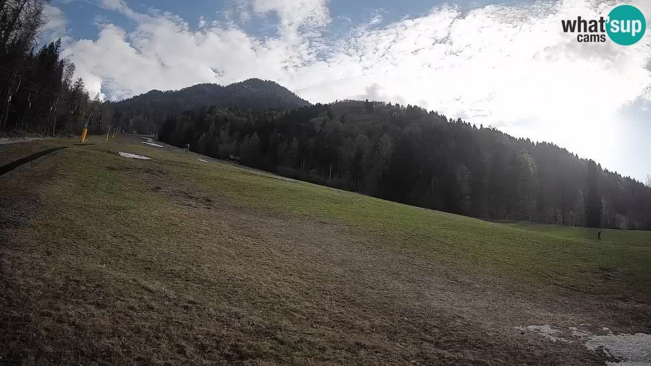 Ski Kranjska Gora | Brsnina