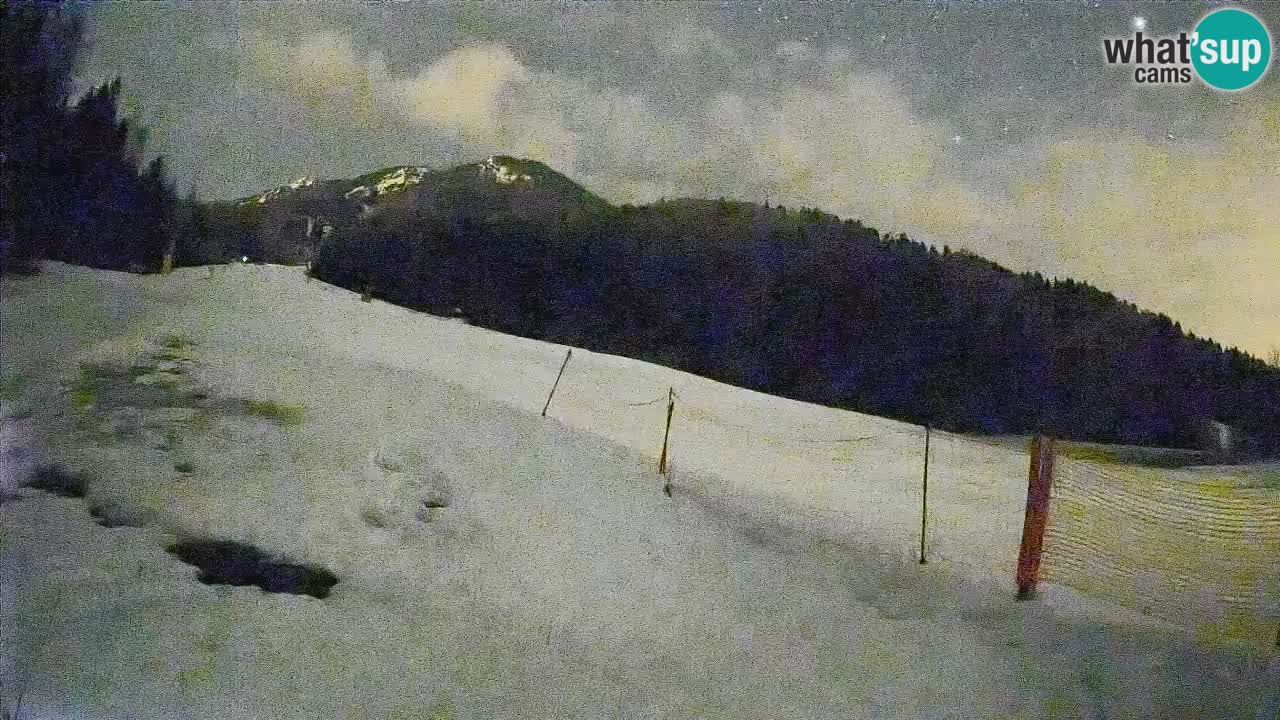 Kranjska Gora Station de ski | Brsnina