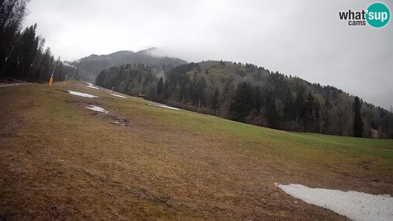 RTC Kranjska Gora | Brsnina