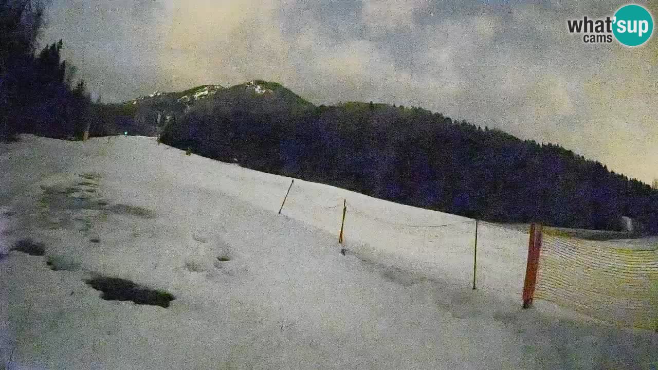 Kranjska Gora Station de ski | Brsnina