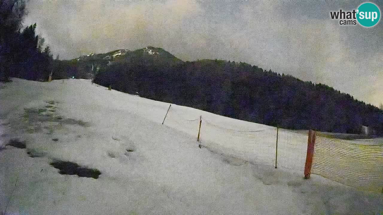 Esquí Kranjska Gora | Brsnina