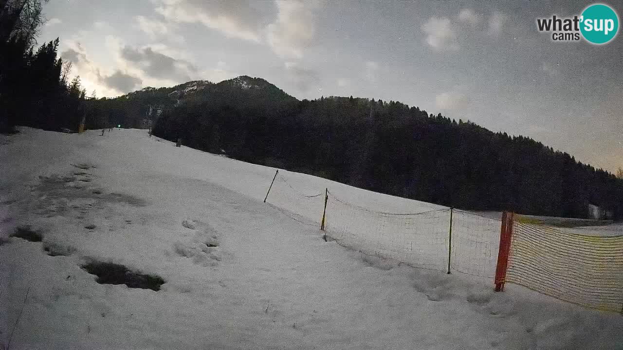 Ski Kranjska Gora | Brsnina