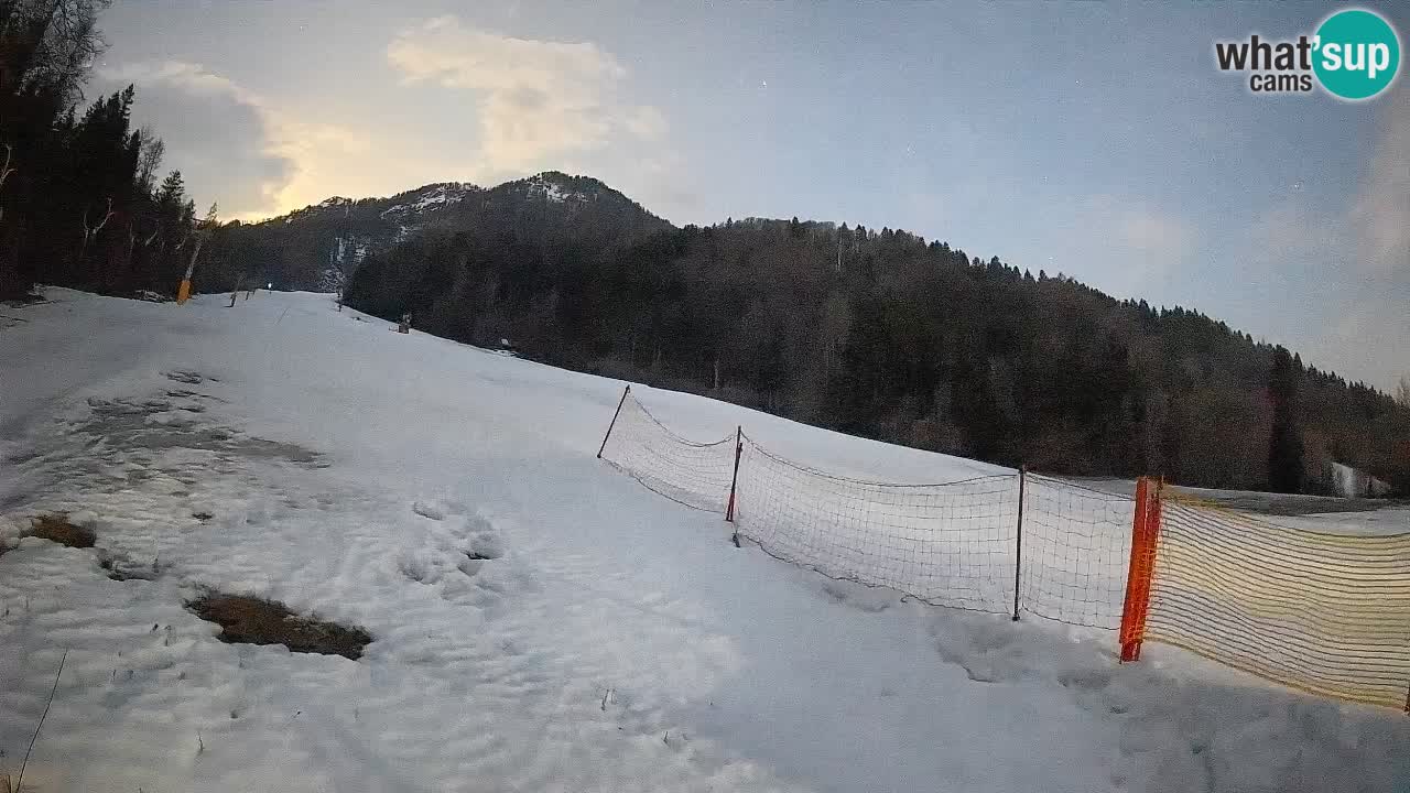 RTC Kranjska Gora | Brsnina