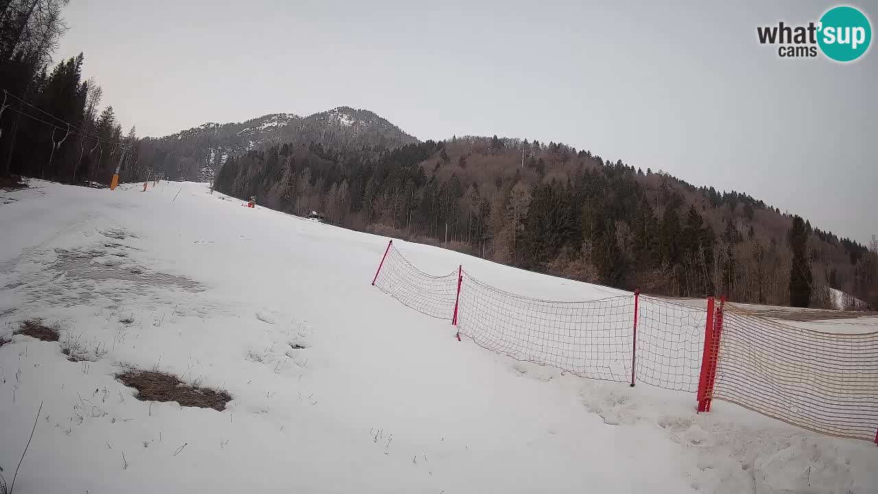 RTC Skigebiet Kranjska Gora | Brsnina