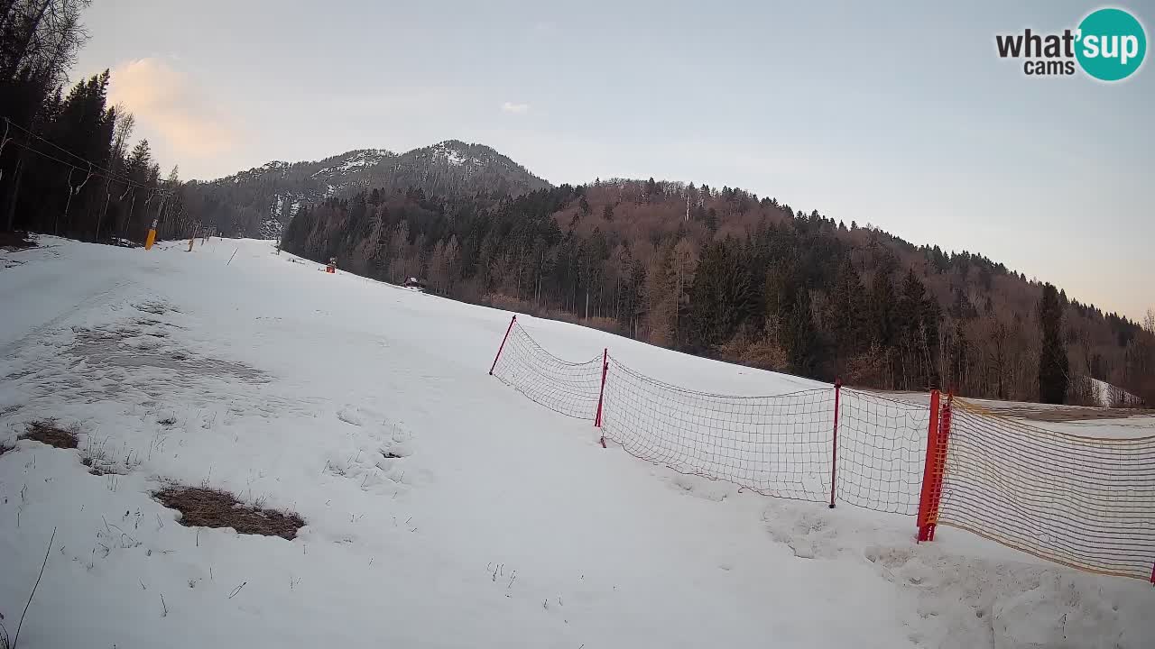 Ski Kranjska Gora | Brsnina