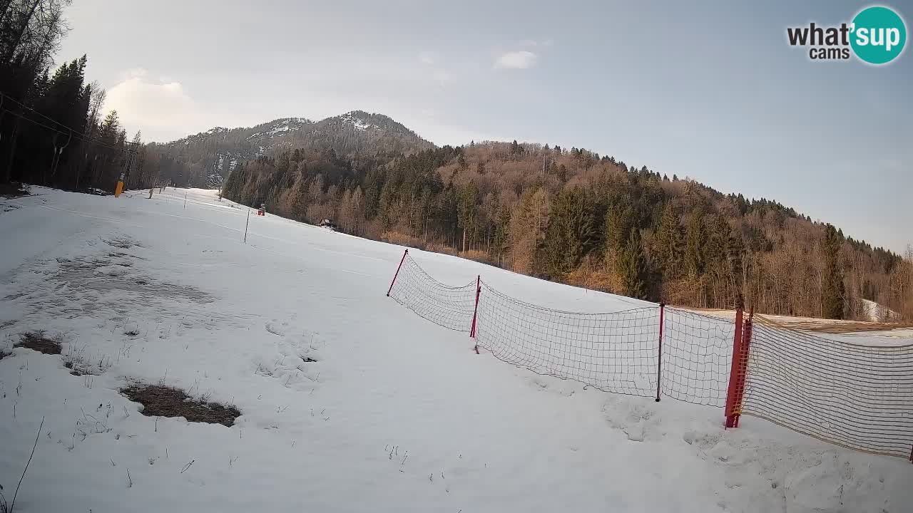 RTC Skigebiet Kranjska Gora | Brsnina