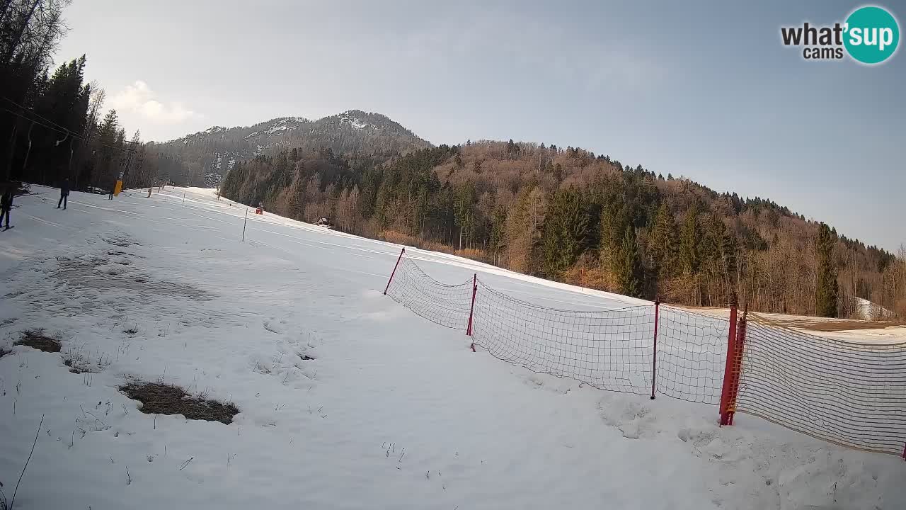 Ski Kranjska Gora | Brsnina