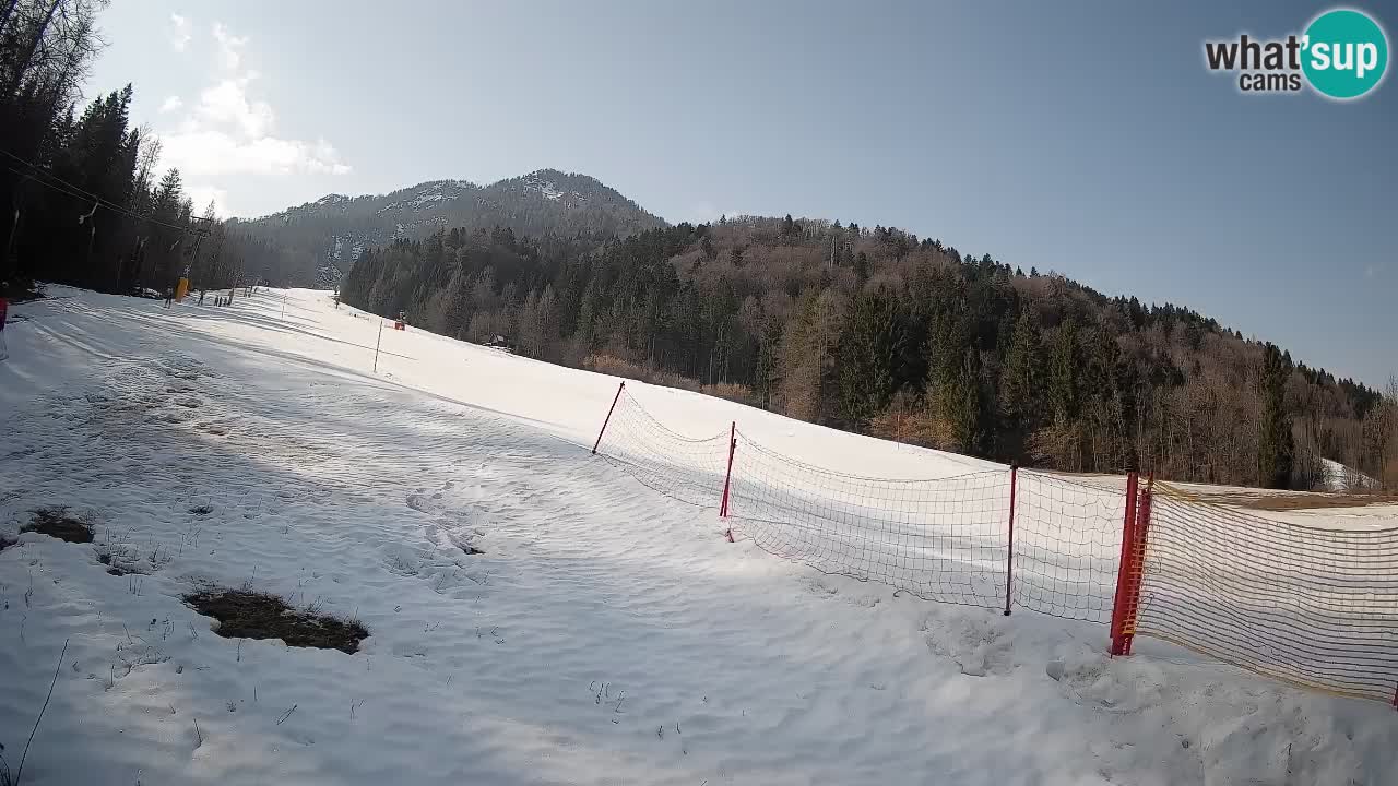 Comprensorio sciistico Kranjska Gora | Brsnina
