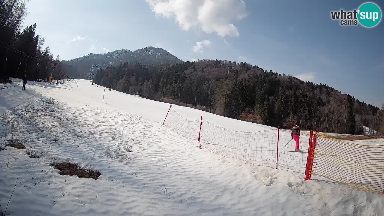 RTC Skigebiet Kranjska Gora | Brsnina