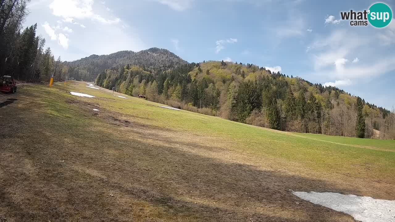 Ski Kranjska Gora | Brsnina