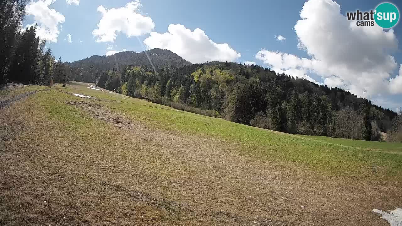 Esquí Kranjska Gora | Brsnina
