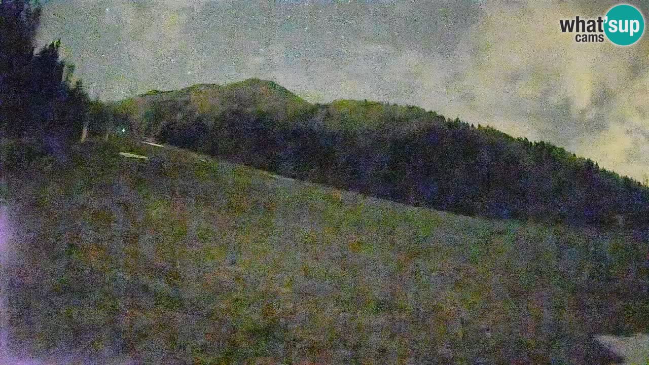 Kranjska Gora Station de ski | Brsnina