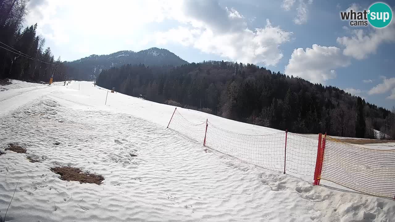 Ski Kranjska Gora | Brsnina