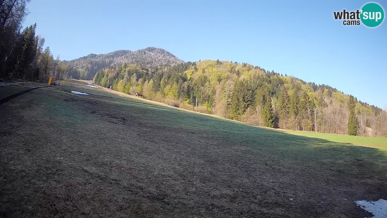 Kranjska Gora SKIJANJE | Brsnina