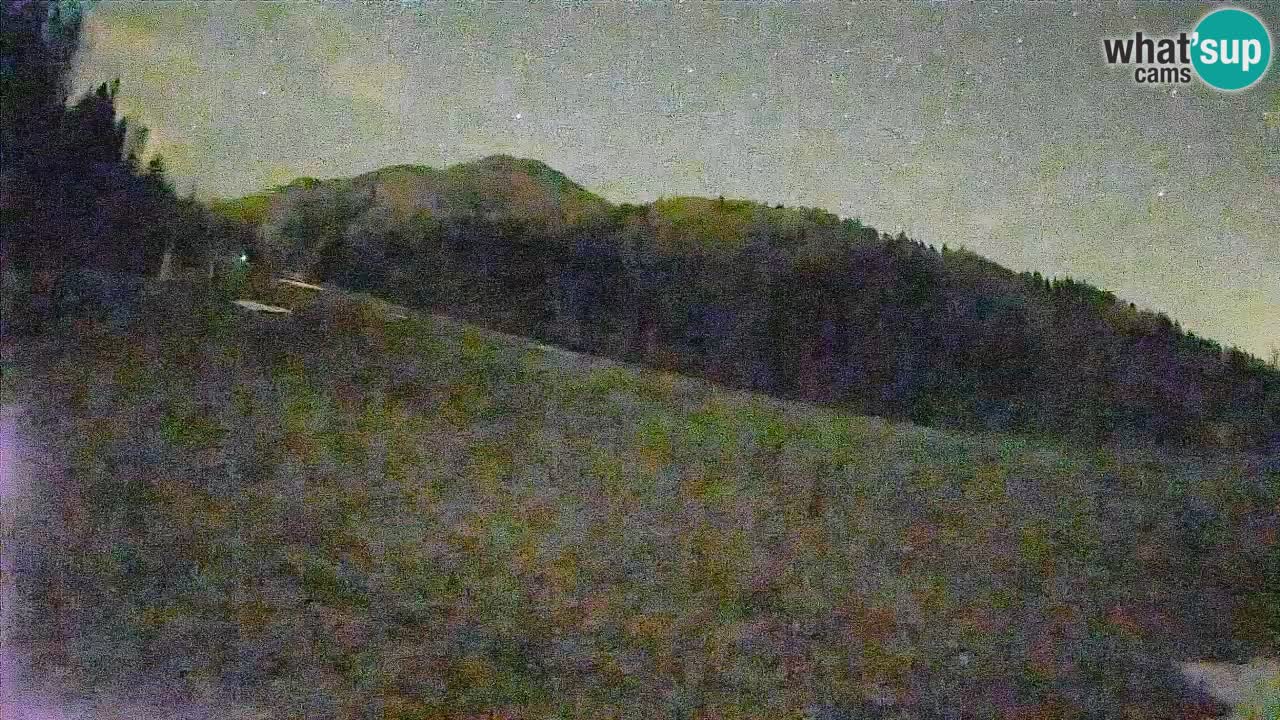 RTC Kranjska Gora | Brsnina