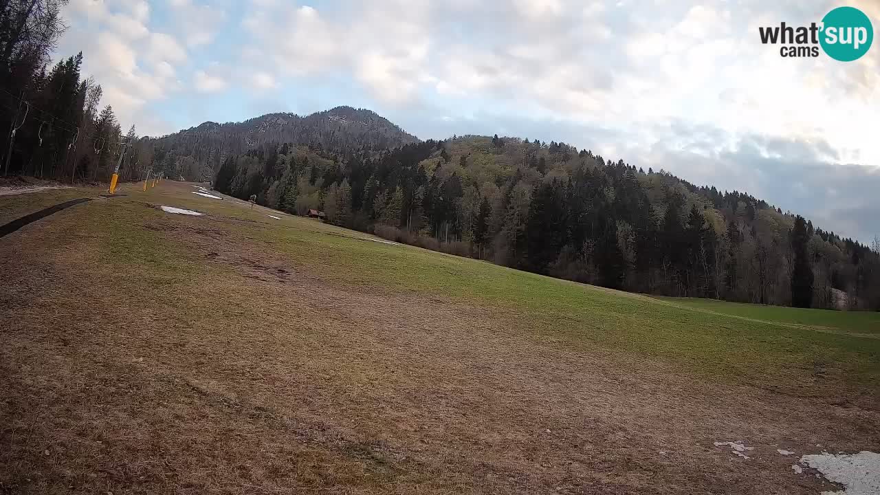 RTC Skigebiet Kranjska Gora | Brsnina