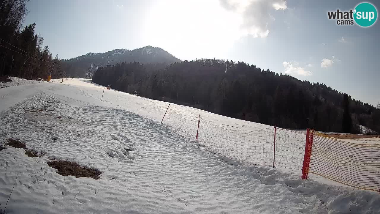 Kranjska Gora SKIJANJE | Brsnina