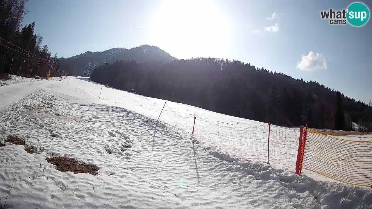 RTC Skigebiet Kranjska Gora | Brsnina