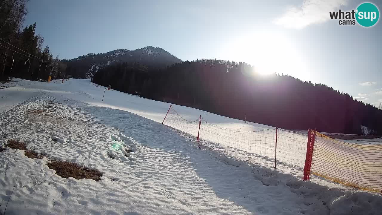 RTC Skigebiet Kranjska Gora | Brsnina