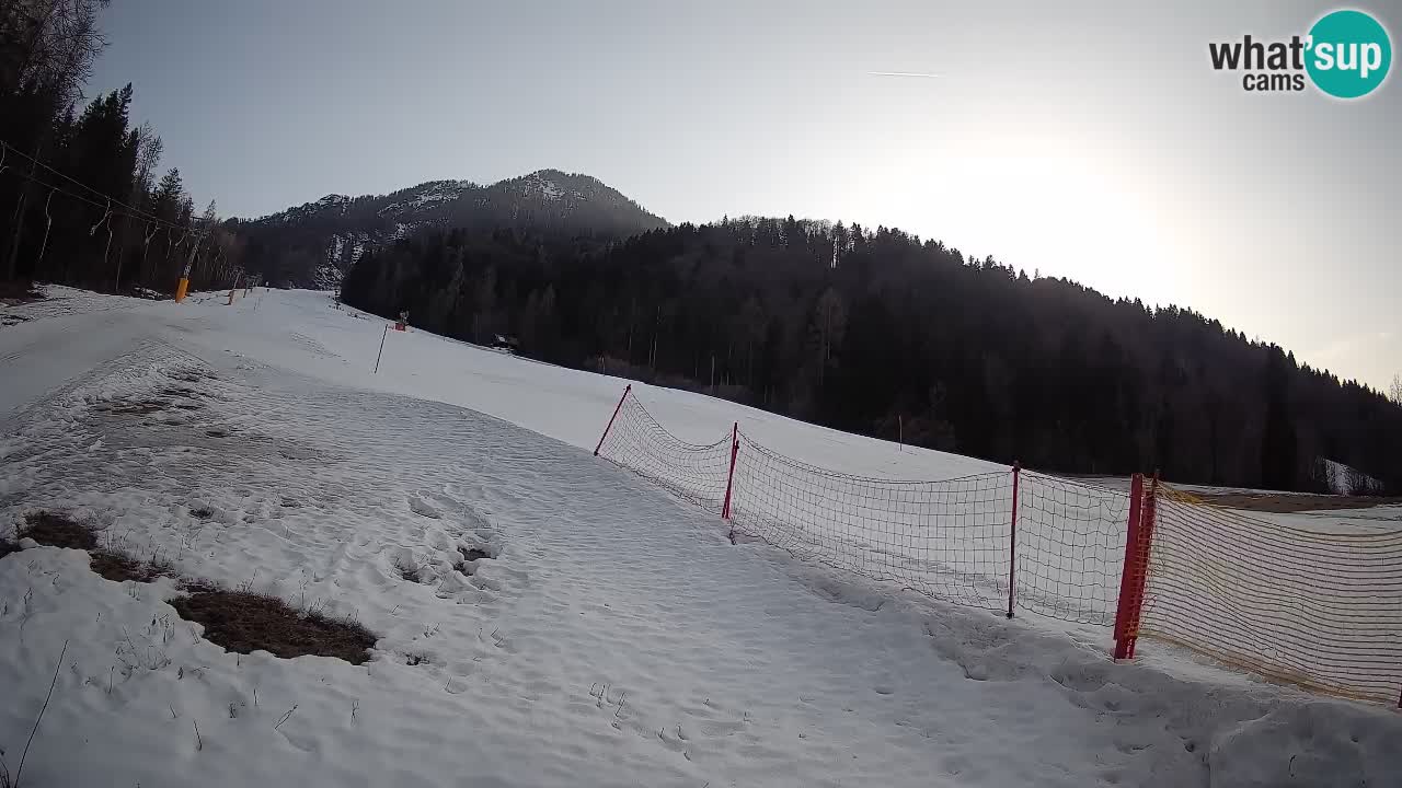RTC Skigebiet Kranjska Gora | Brsnina