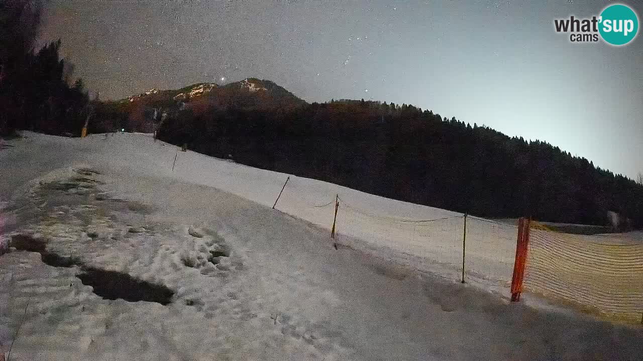 Comprensorio sciistico Kranjska Gora | Brsnina