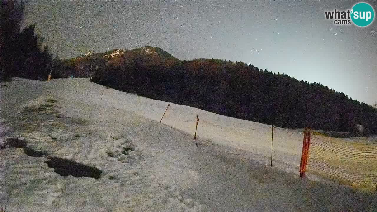 Comprensorio sciistico Kranjska Gora | Brsnina