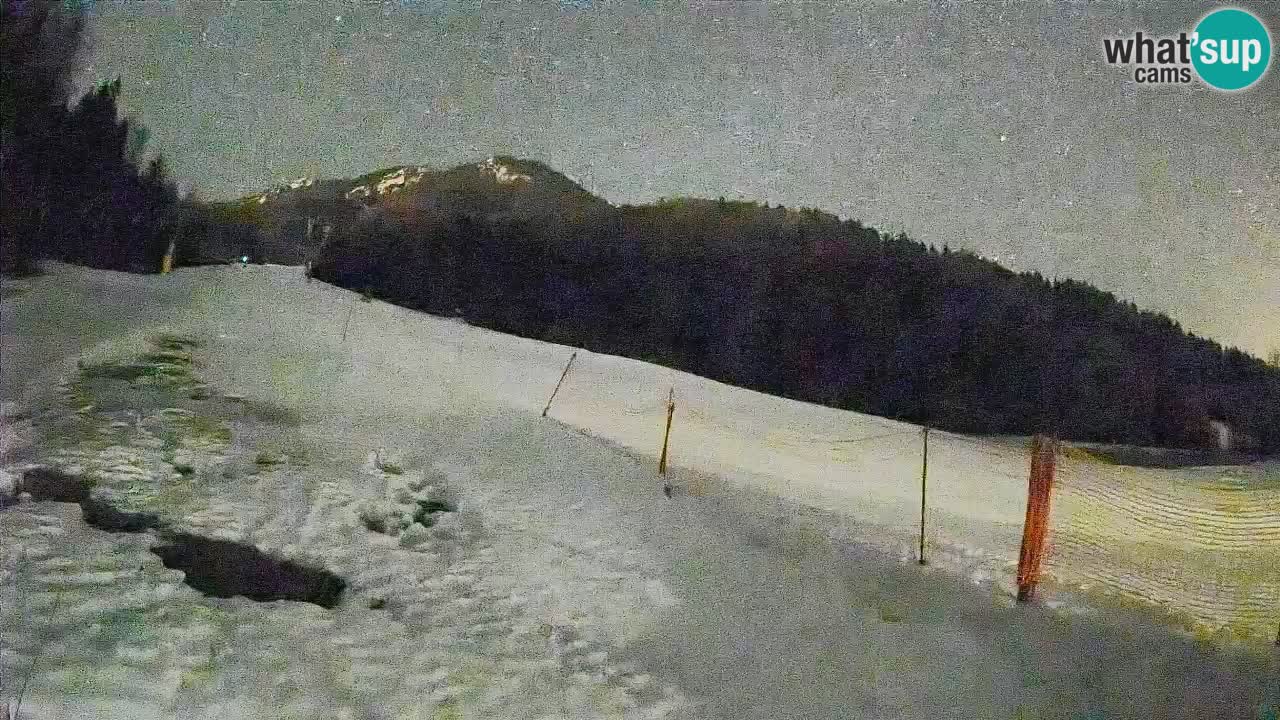 Comprensorio sciistico Kranjska Gora | Brsnina