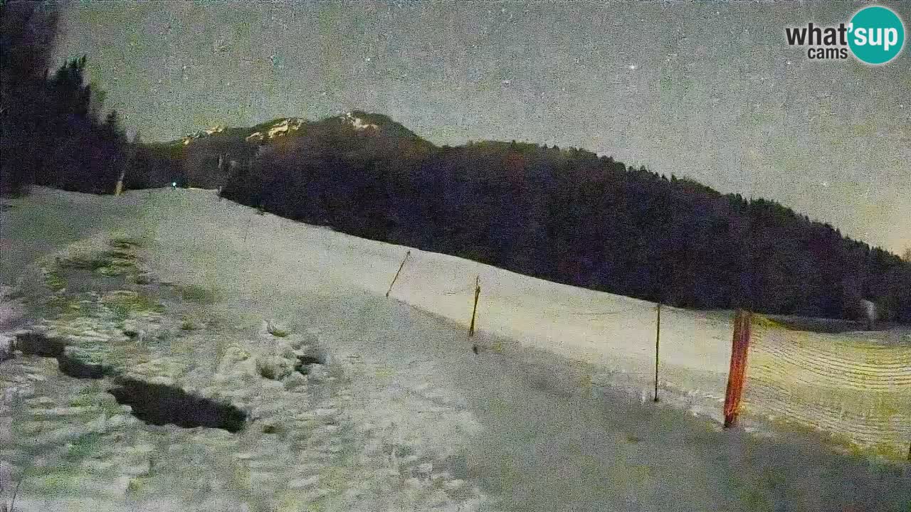 Comprensorio sciistico Kranjska Gora | Brsnina