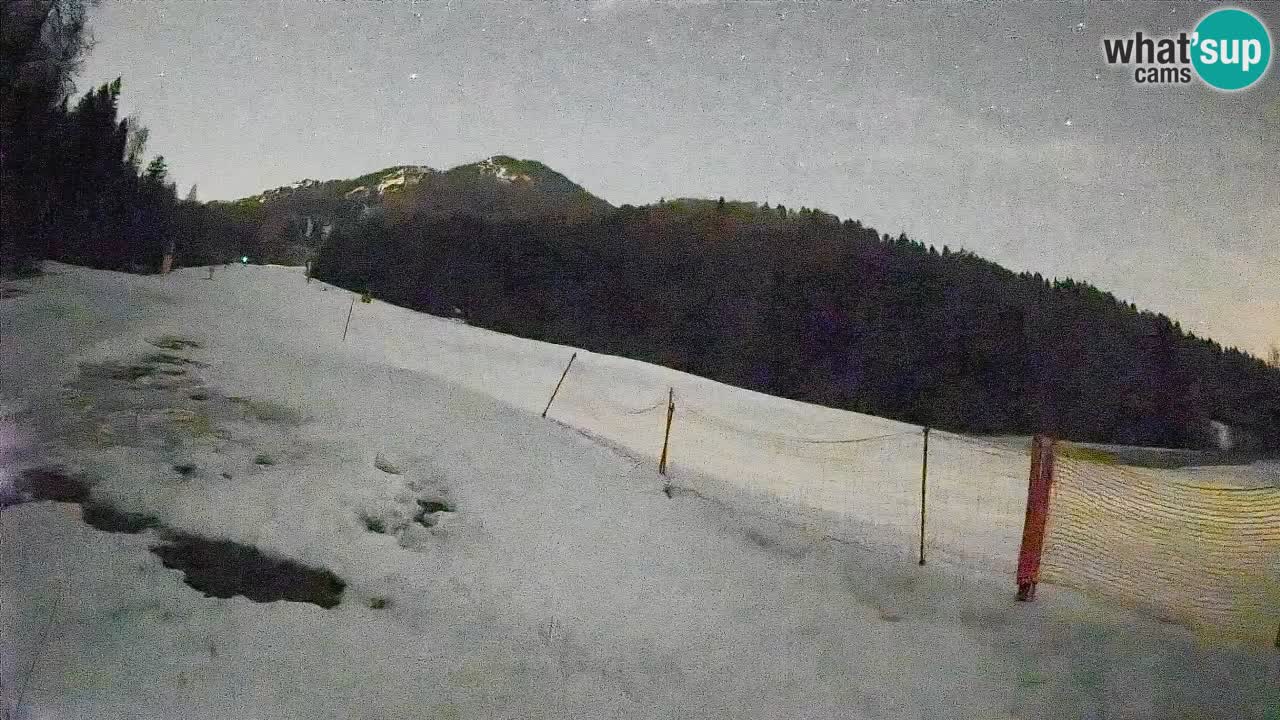 RTC Kranjska Gora | Brsnina