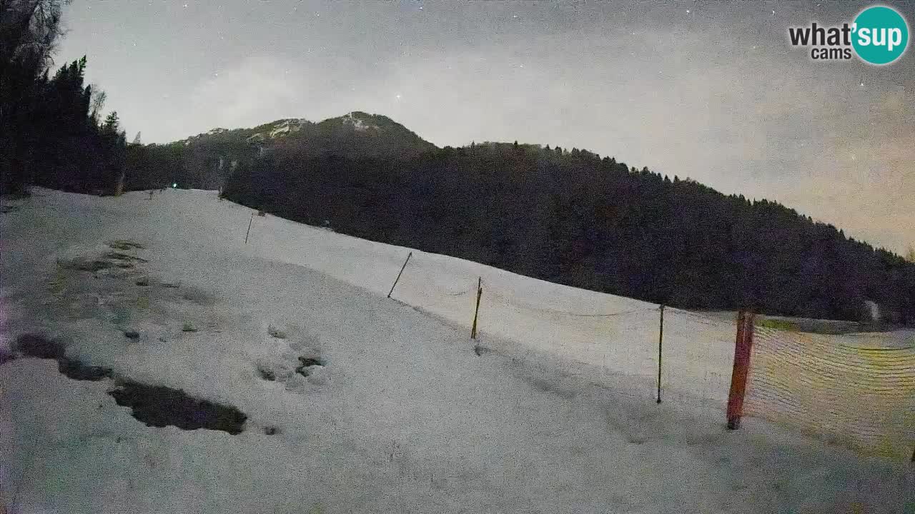 Comprensorio sciistico Kranjska Gora | Brsnina