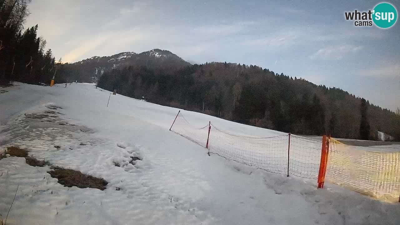 Kranjska Gora Station de ski | Brsnina