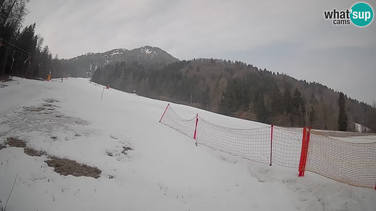 Esquí Kranjska Gora | Brsnina