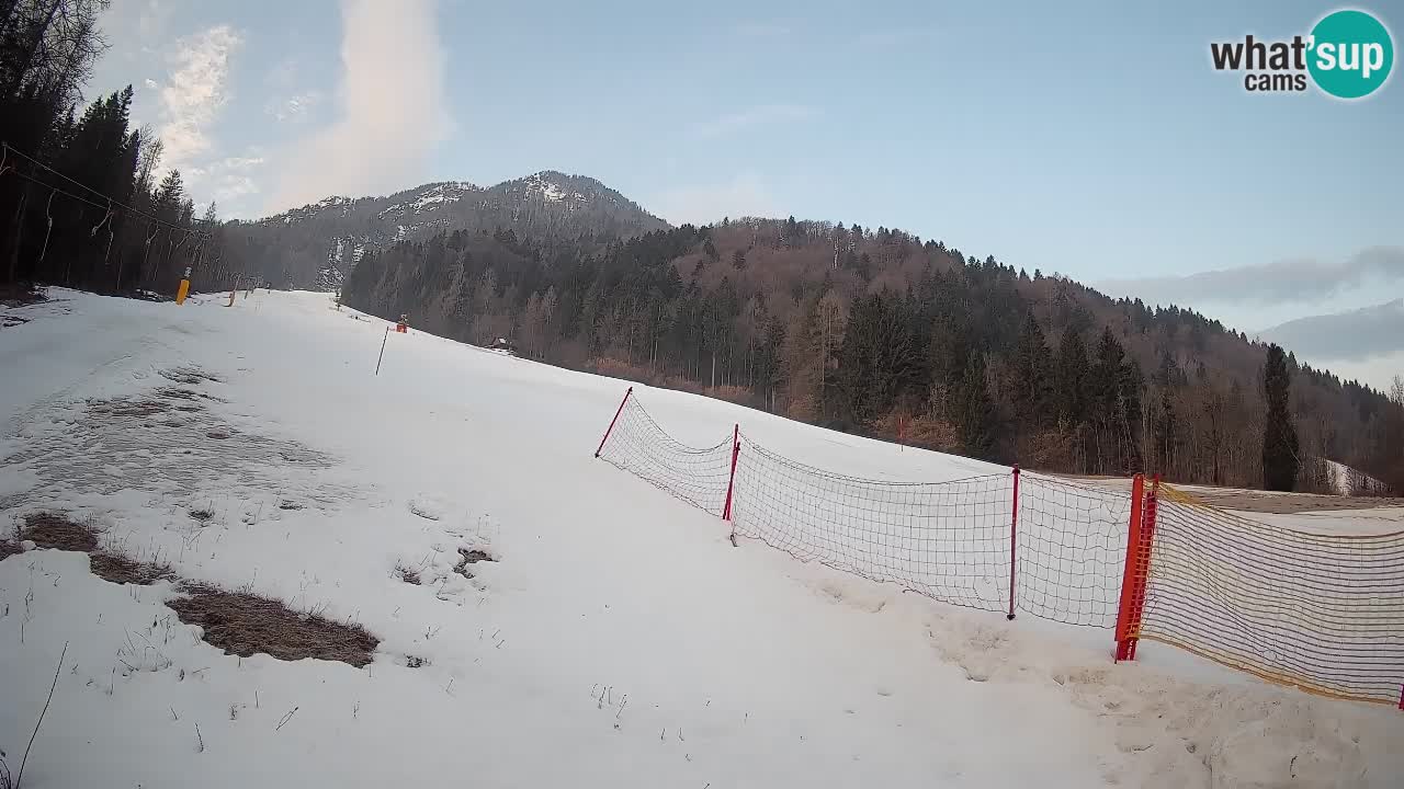 RTC Skigebiet Kranjska Gora | Brsnina
